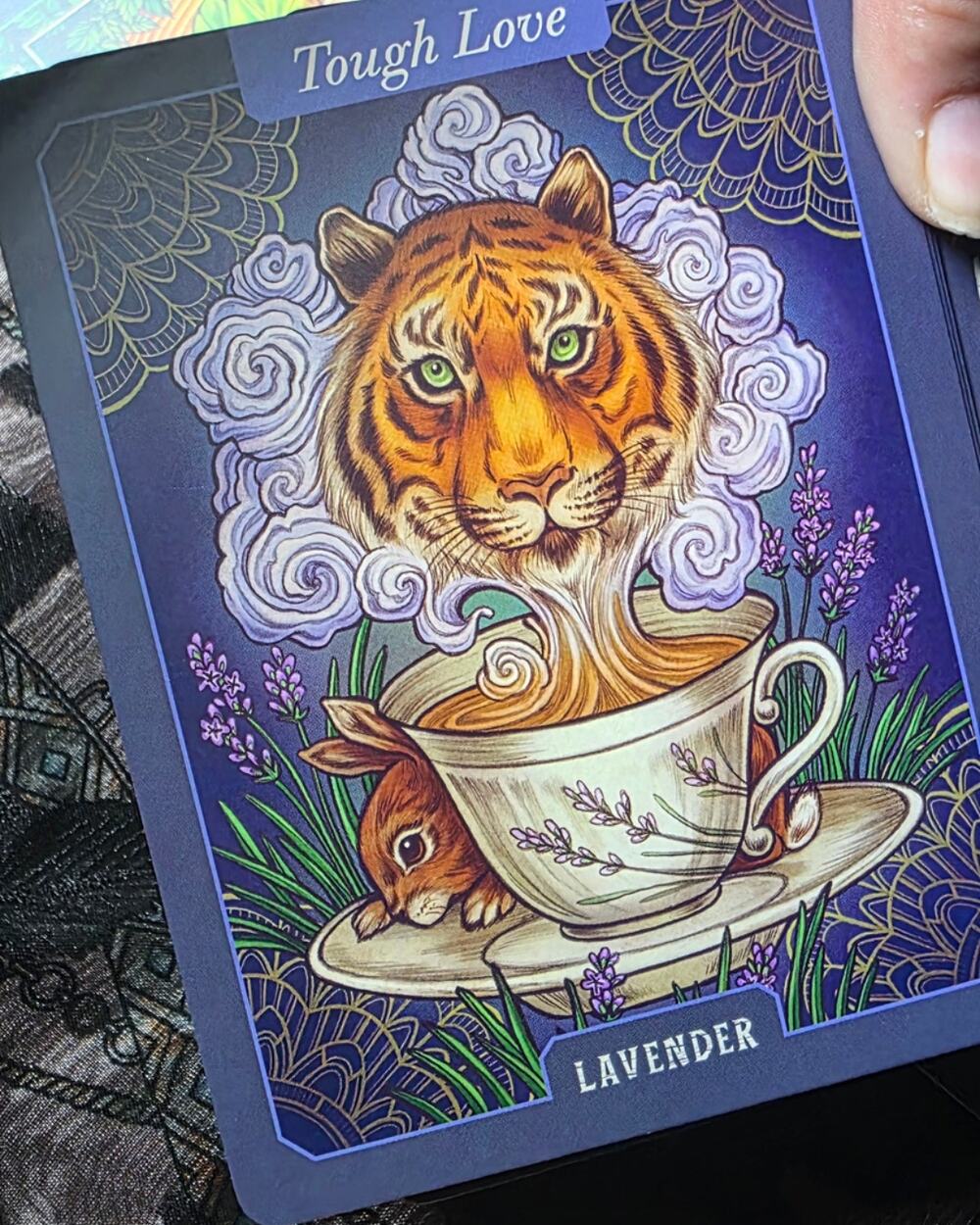 The Illustrated Herbiary Oracle Cards Deck Bewitching Botanicals Maia Toll Tarot